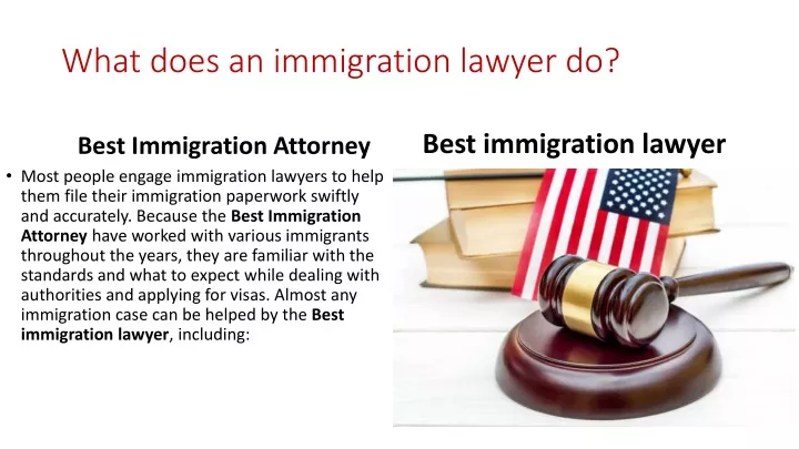 what does an immigration lawyer do