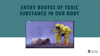 entry routes of toxic substance in our body
