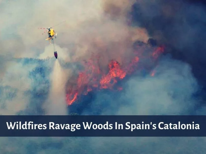 wildfires ravage woods in spain s catalonia