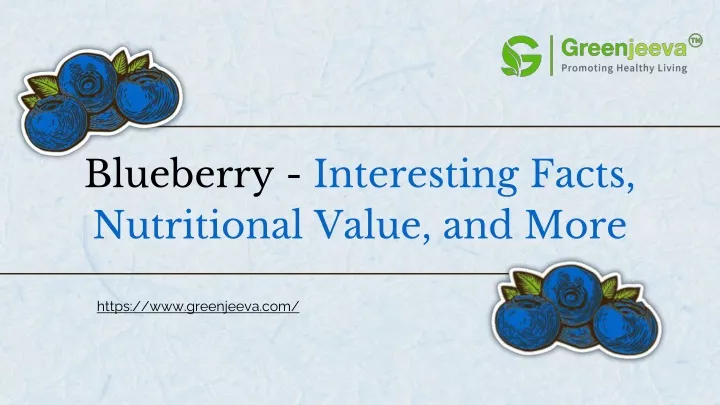 blueberry interesting facts nutritional value
