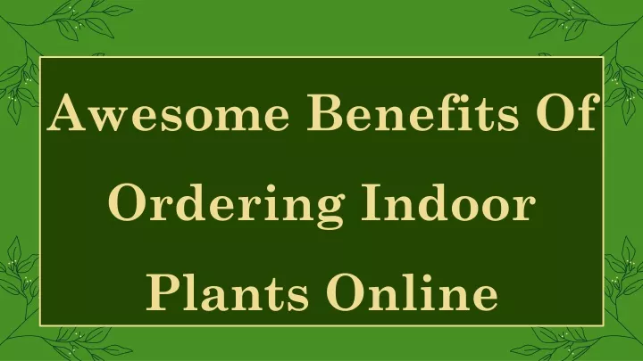 awesome benefits of ordering indoor plants online