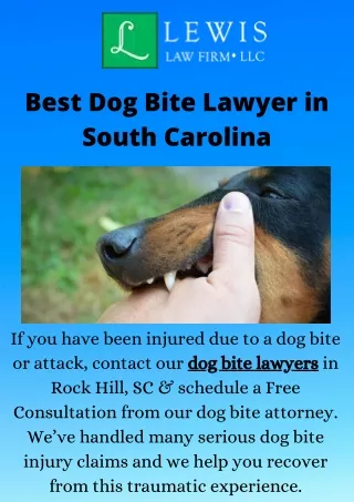 Best Dog Bite Lawyer in South Carolina