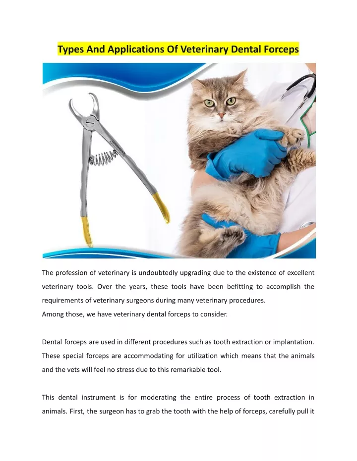 types and applications of veterinary dental