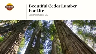 beautiful cedar lumber for life