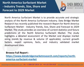 North America Surfactant Market   - Industry Trends, Size, Share and Forecast to 2029 Market