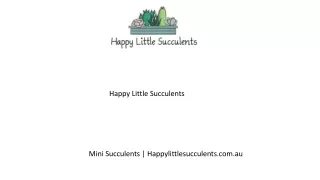 Mini Succulents  Happylittlesucculents.com.au