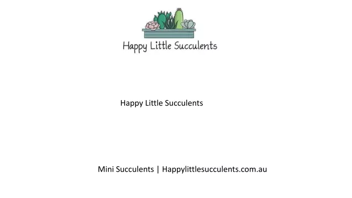 happy little succulents