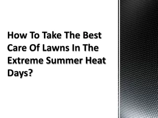 How To Take The Best Care Of Lawns In The Extreme Summer Heat Days