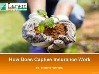 How Does Captive Insurance Work