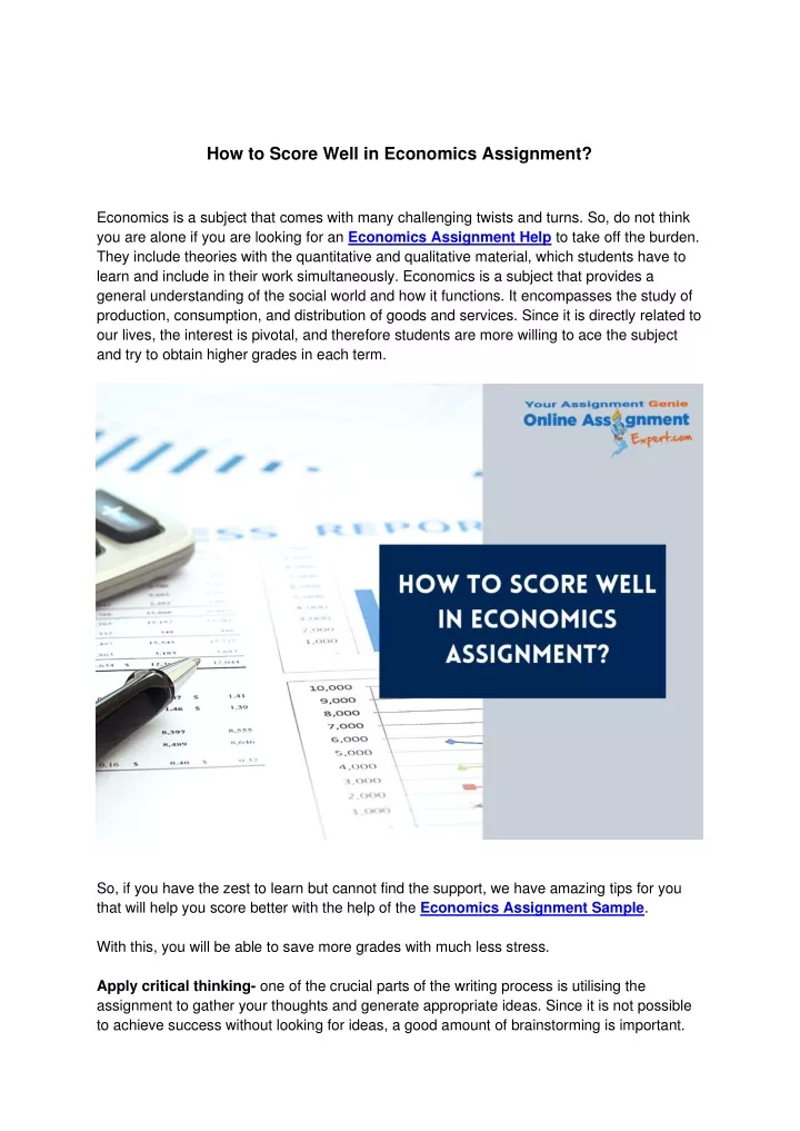 how to score well in economics assignment