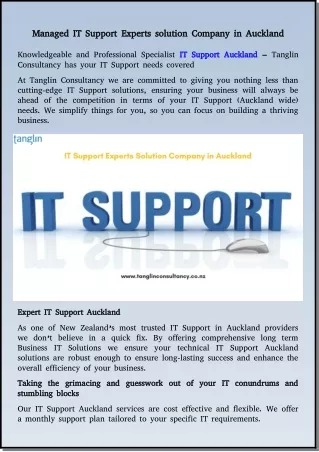 managed it support experts solution company
