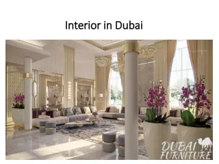 interior in dubai
