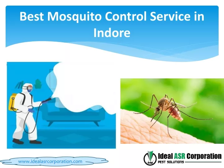 best mosquito control service in indore