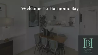 welcome to harmonic bay