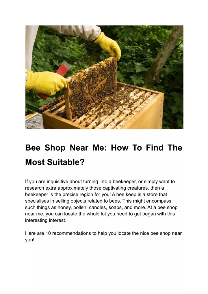 bee shop near me how to find the