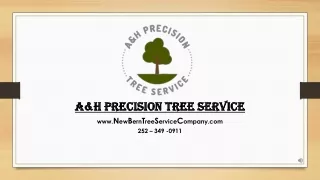 Tree and Shrub Insect Control New Bern, NC