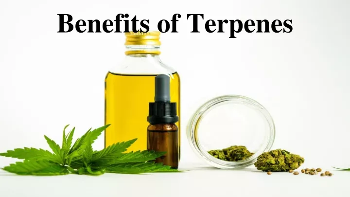 benefits of terpenes