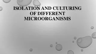 isolation and culturing of different microorganisms