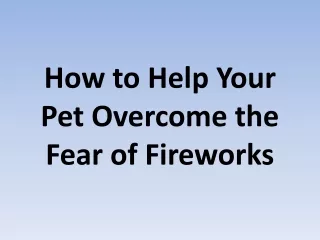 How to Help Your Pet Overcome the Fear of Fireworks