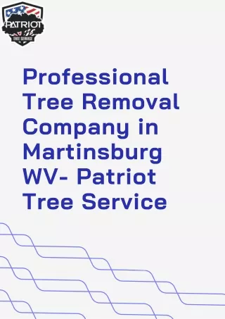 Professional Tree Removal Company in Martinsburg WV- Patriot Tree Service