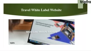 travel white label website