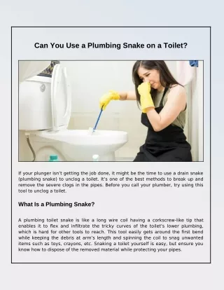 can you use a plumbing snake on a toilet