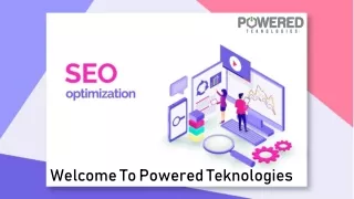 Best SEO Optimization services in Florida