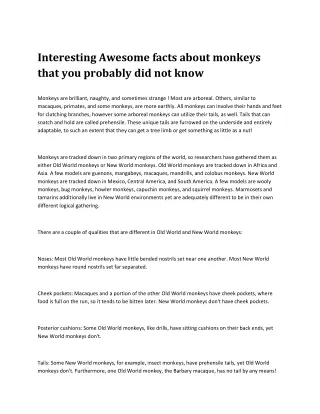 Interesting Awesome facts about monkeys that you probably did not know