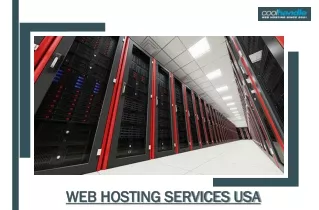 Web Hosting Services USA