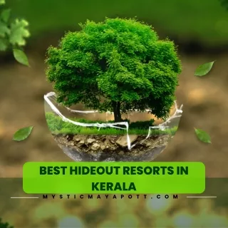 Best Resorts In Kerala For Family | Mystic Mayapott