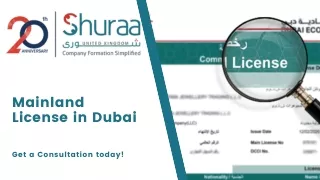mainland license in dubai