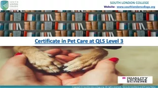 Essential Safety Tips For Pet Care - Online Course