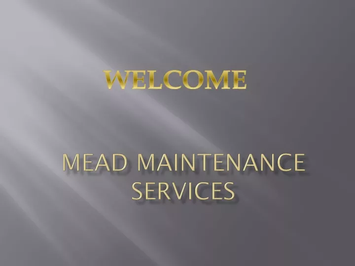 mead maintenance services