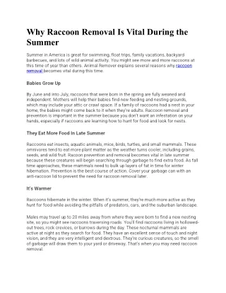 why raccoon removal is vital during the summer