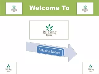 welcome to