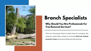 Why Should You Hire Professionals For Tree Removal Services