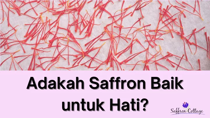 adakah saffron baik adakah saffron baik