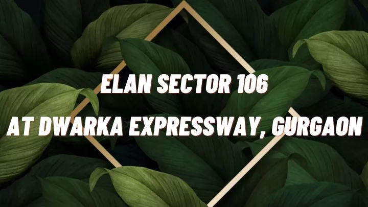 elan sector 106 elan sector 106