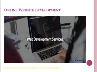 online website development