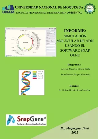 INFORME:  SIMULACIÓN MOLECULAR DE ADN USANDO EL SOFTWARE SNAP GENE