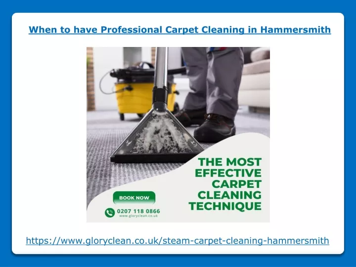 when to have professional carpet cleaning