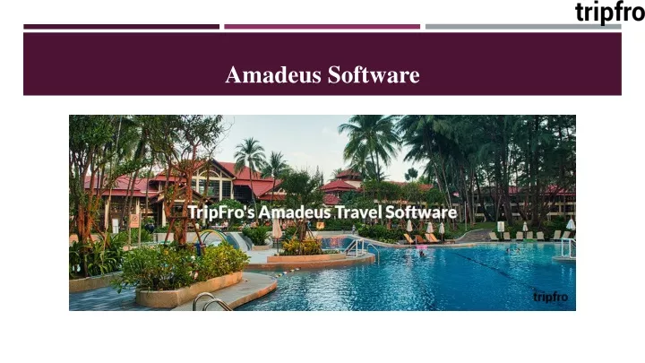 amadeus software