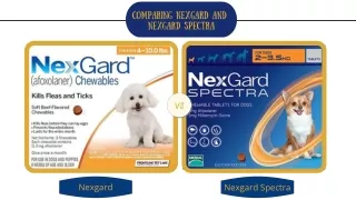 comparing nexgard and nexgard spectra