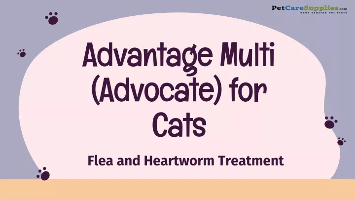 advantage multi advocate for cats