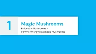 Magic Mushrooms