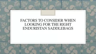 Factors To Consider When Looking For The Right Enduristan Saddlebags
