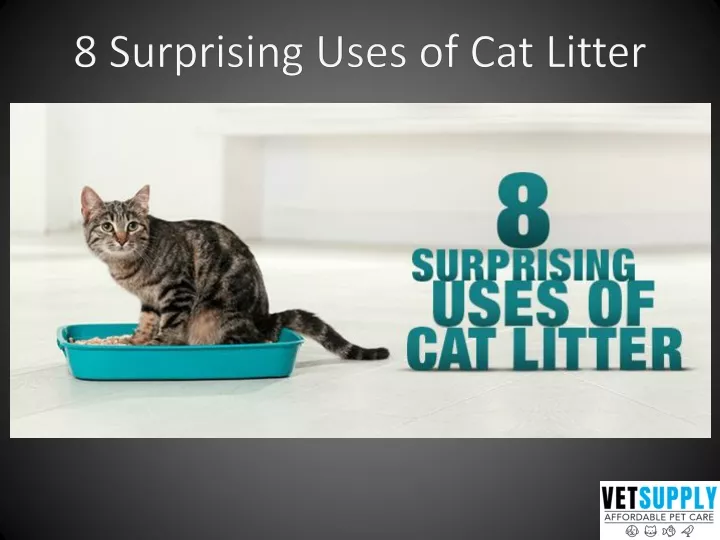 8 surprising uses of cat litter