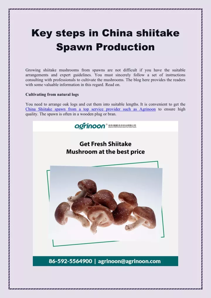key steps in china shiitake spawn production