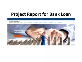 project report for bank loan