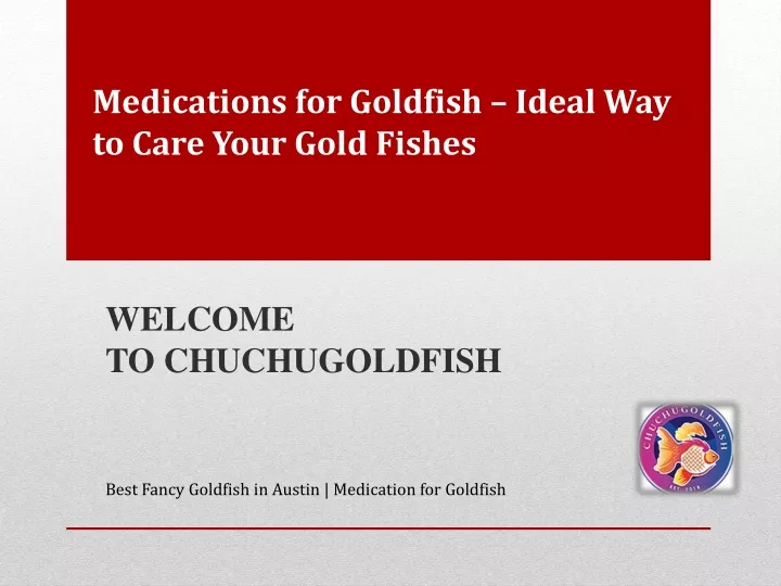 medications for goldfish ideal way to care your gold fishes